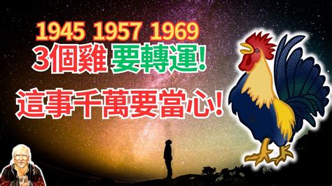 1969年屬雞運勢|【1969生肖】屬雞人2023運勢全攻略！1969年54歲生肖雞每月運。